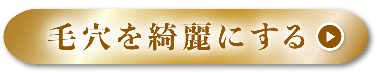 モンローションで毛穴を綺麗にする